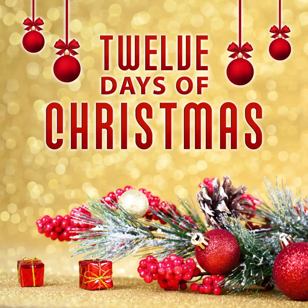 Twelve Days of Christmas – Traditional Carols, Family Holidays, Colourful Christmas Tree, White Christmas, Happy Time, Beautiful Gifts, Christmas Songs