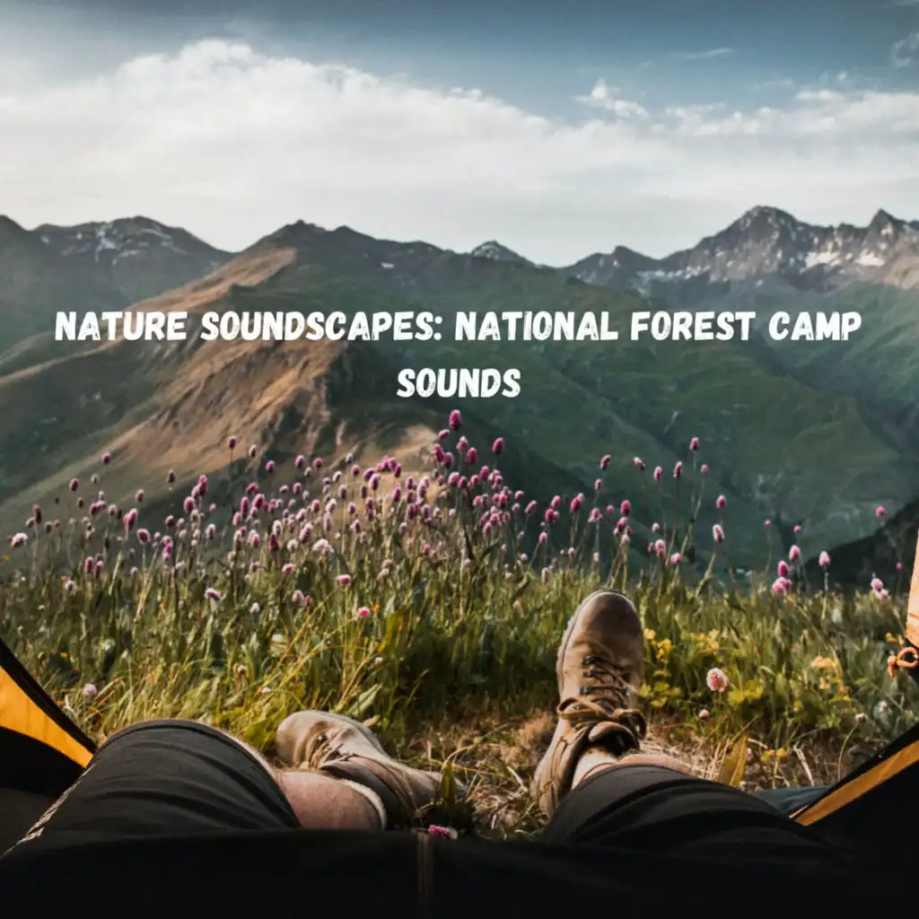 Nature Soundscapes: National Forest Camp Sounds