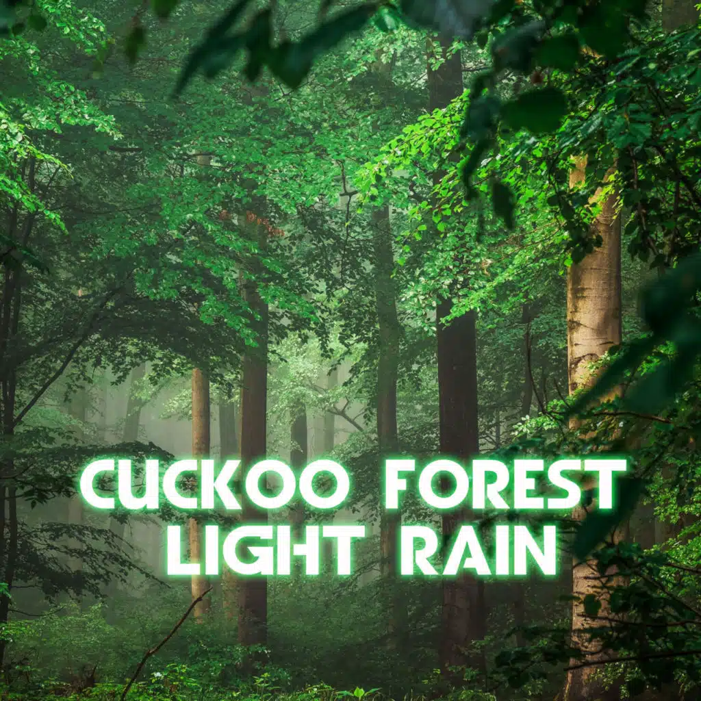 Cuckoo Forest Light Rain (feat. Forest Sounds, Rain Power & Rain Sound)