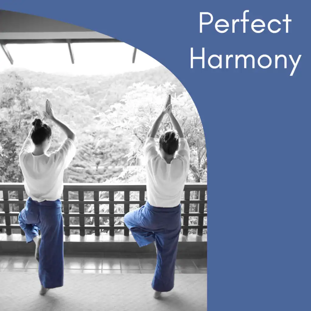 Perfect Harmony – Music for Meditation, Nature Sounds, Relaxation Melodies, Reiki Music, Asian Zen, Therapy Songs