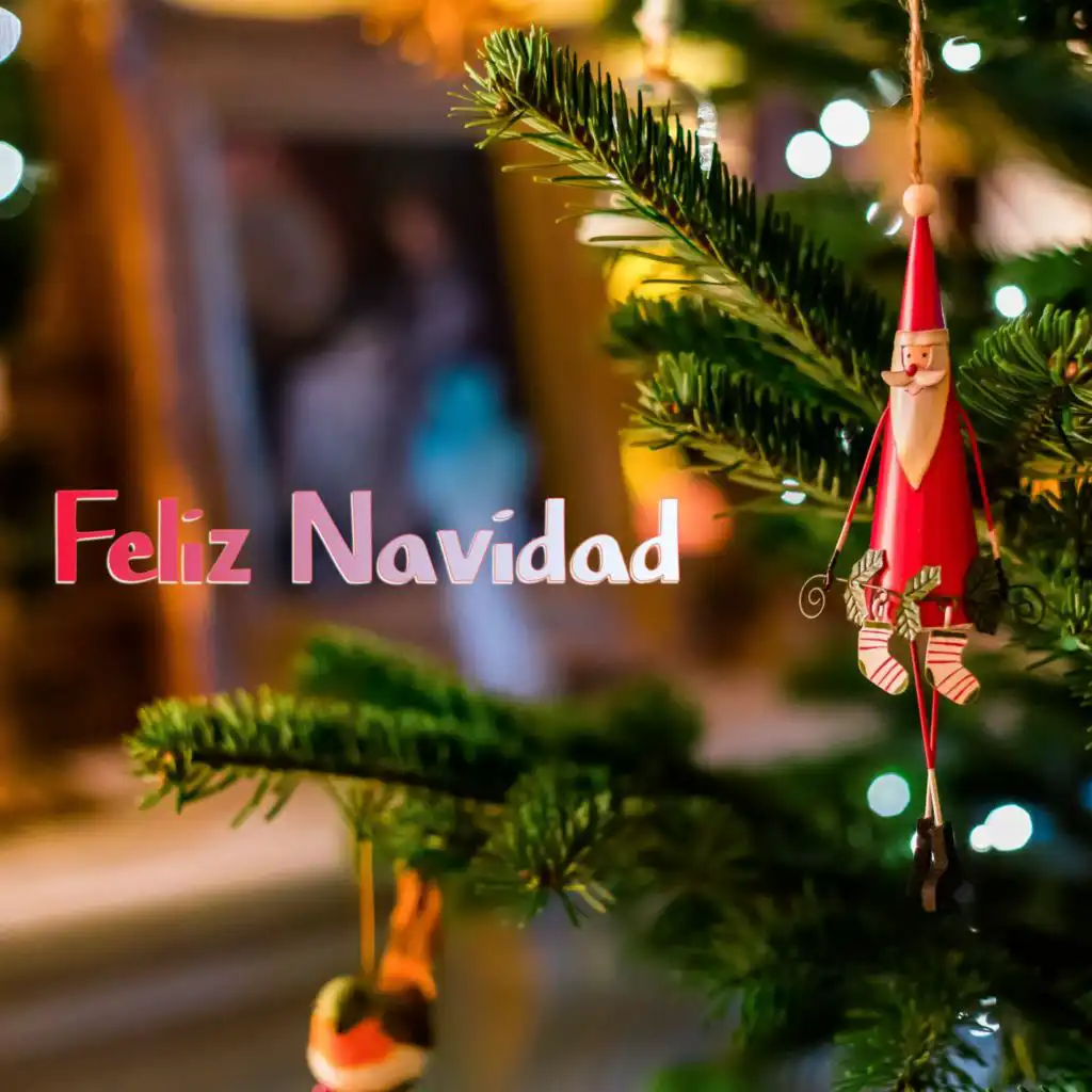 Nosotros le Deseamos una Feliz Navidad