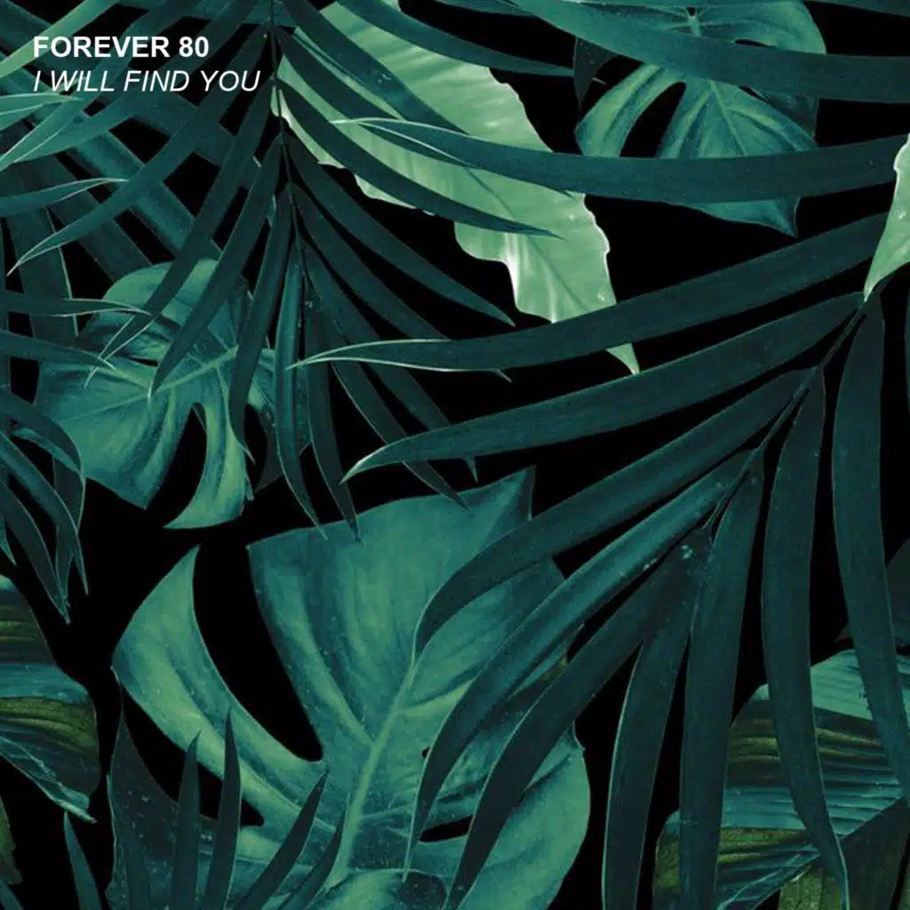 I Will Find You (feat. Fiamma)