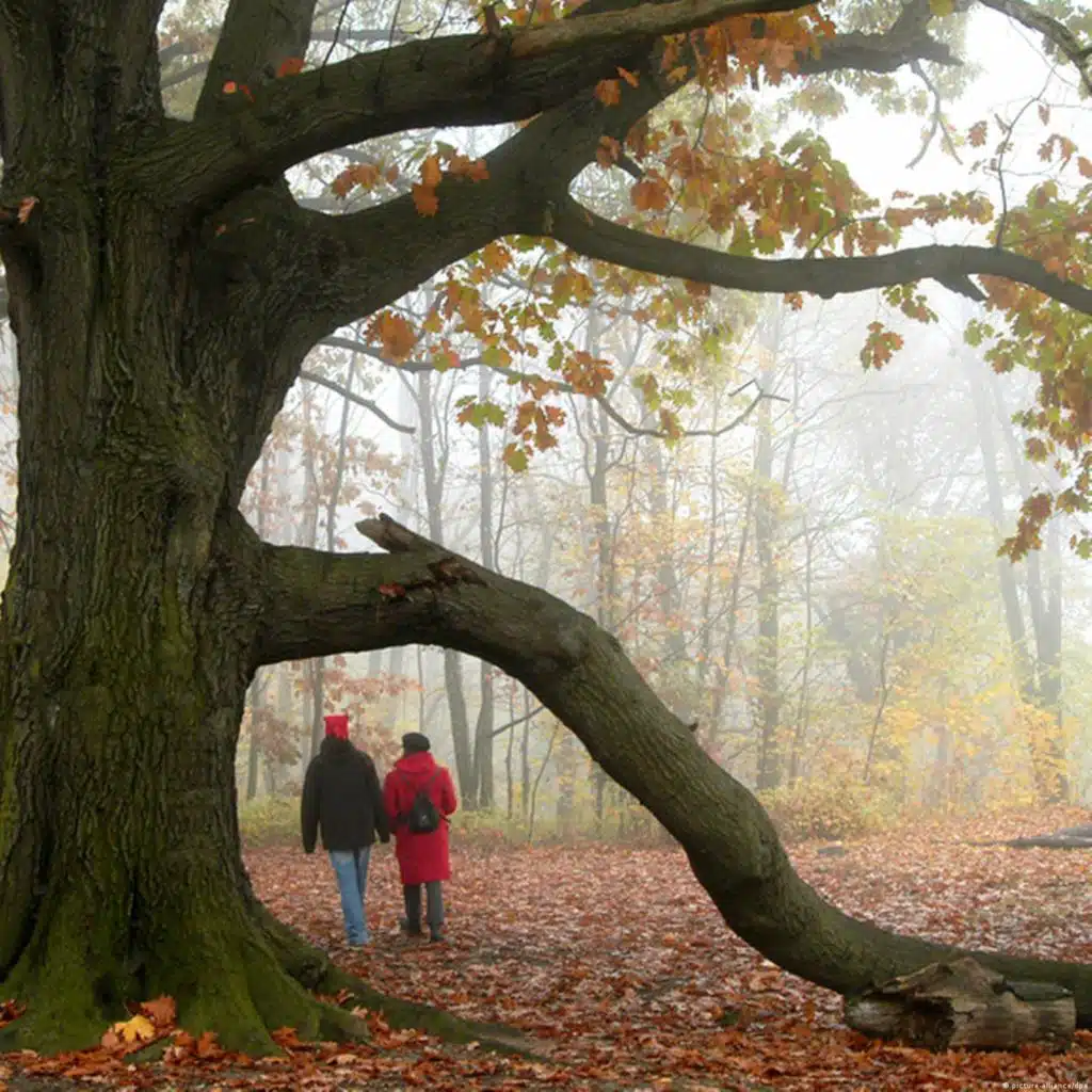 Lektion 1: People – Personen