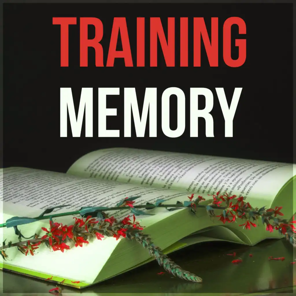 Training Memory