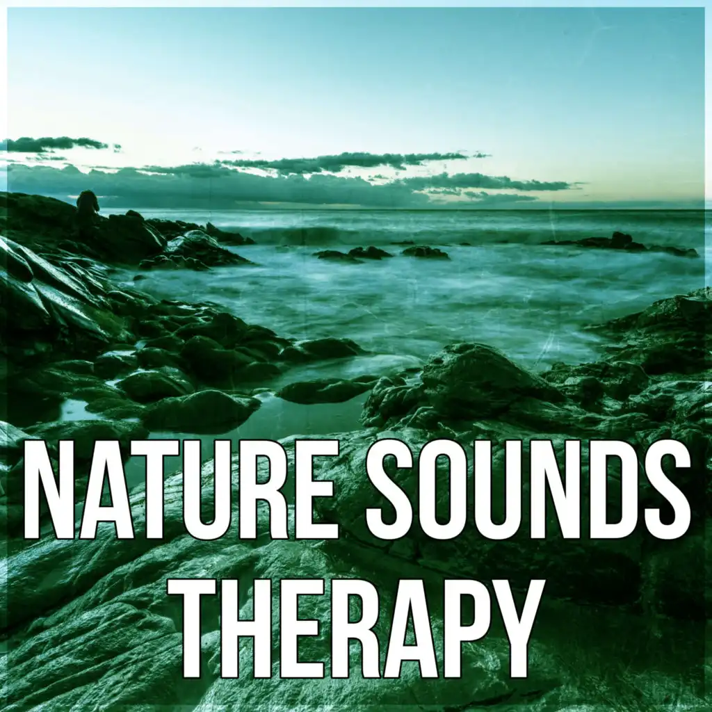 Nature Sounds Therapy - New Age Music for Training and Meditation, Background Music for Massage Therapy, Soothing Spa Nature Relaxation, Pacific Ocean Waves for Well Being and Healthy Lifestyle, Yin Yoga