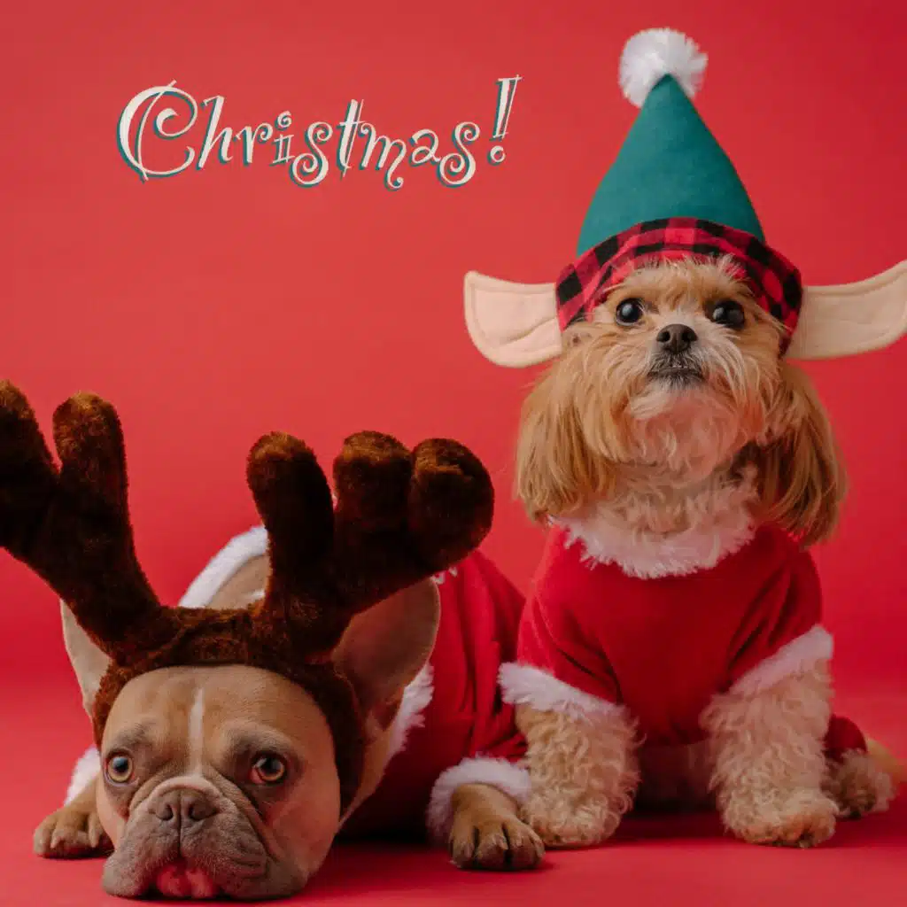 Angels We Have Heard on High