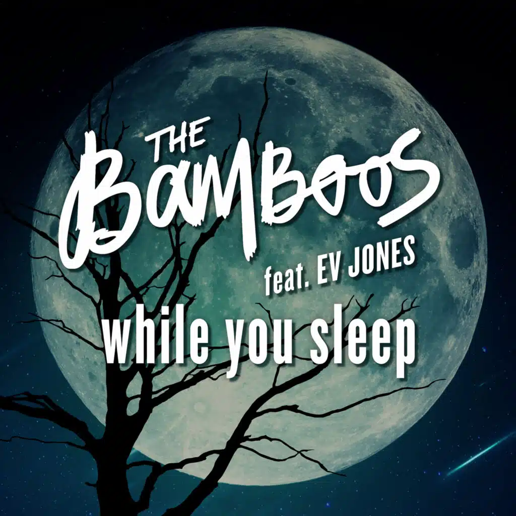 While You Sleep (feat. Ev Jones)