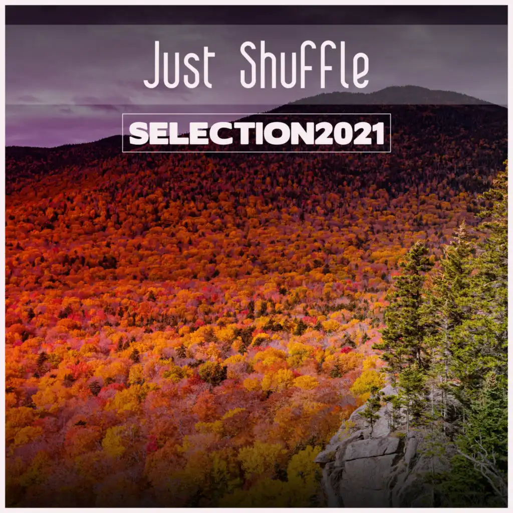 Just Shuffle Selection 2021