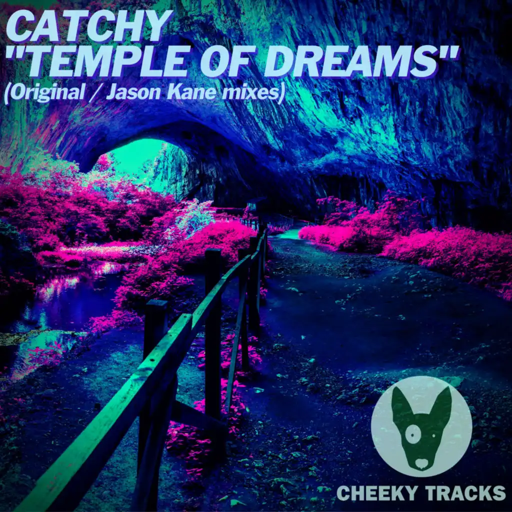 Temple Of Dreams (Jason Kane Remix)