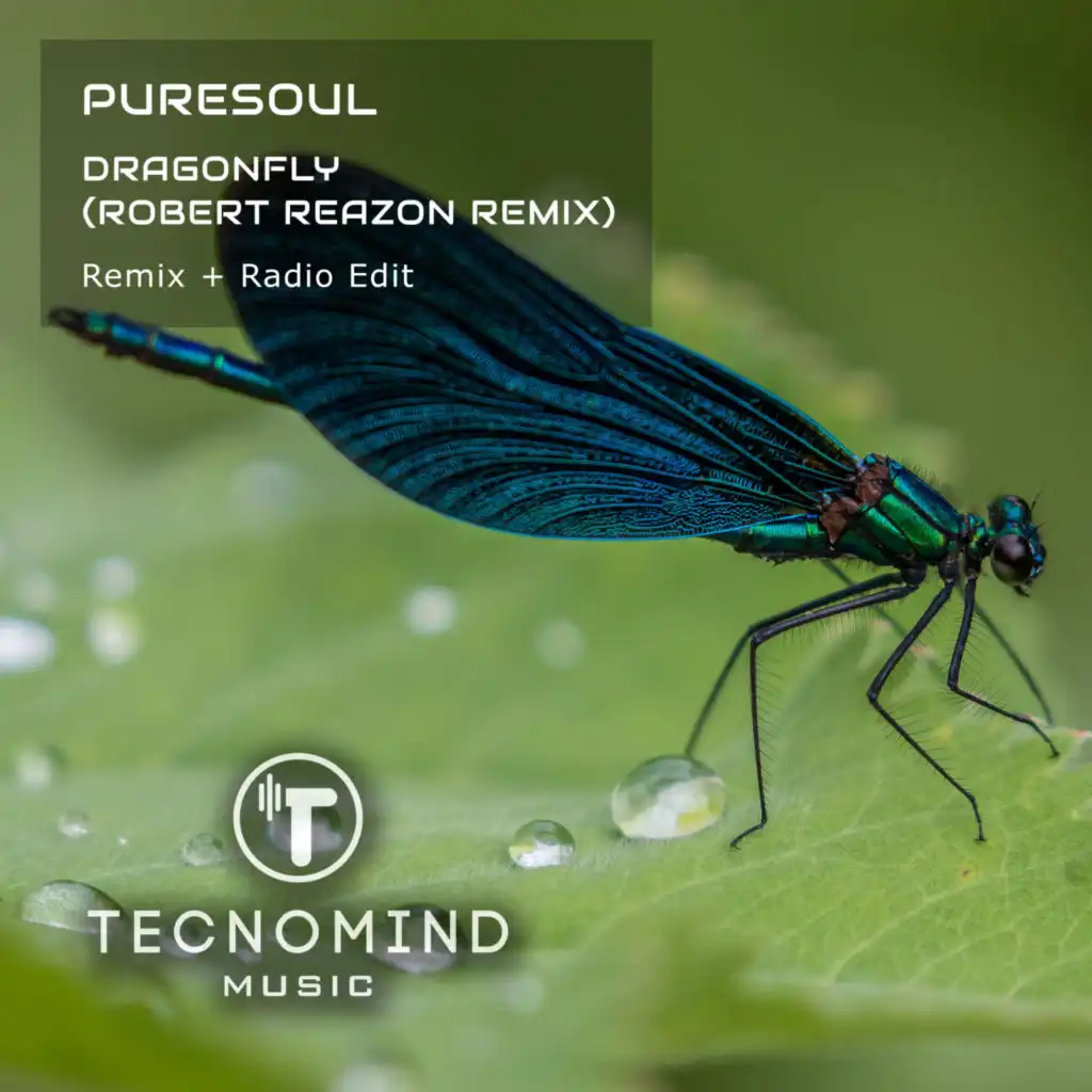 Dragonfly (Robert Reazon Radio Edit)