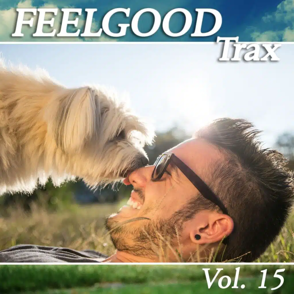 Feelgood Trax, Vol. 15