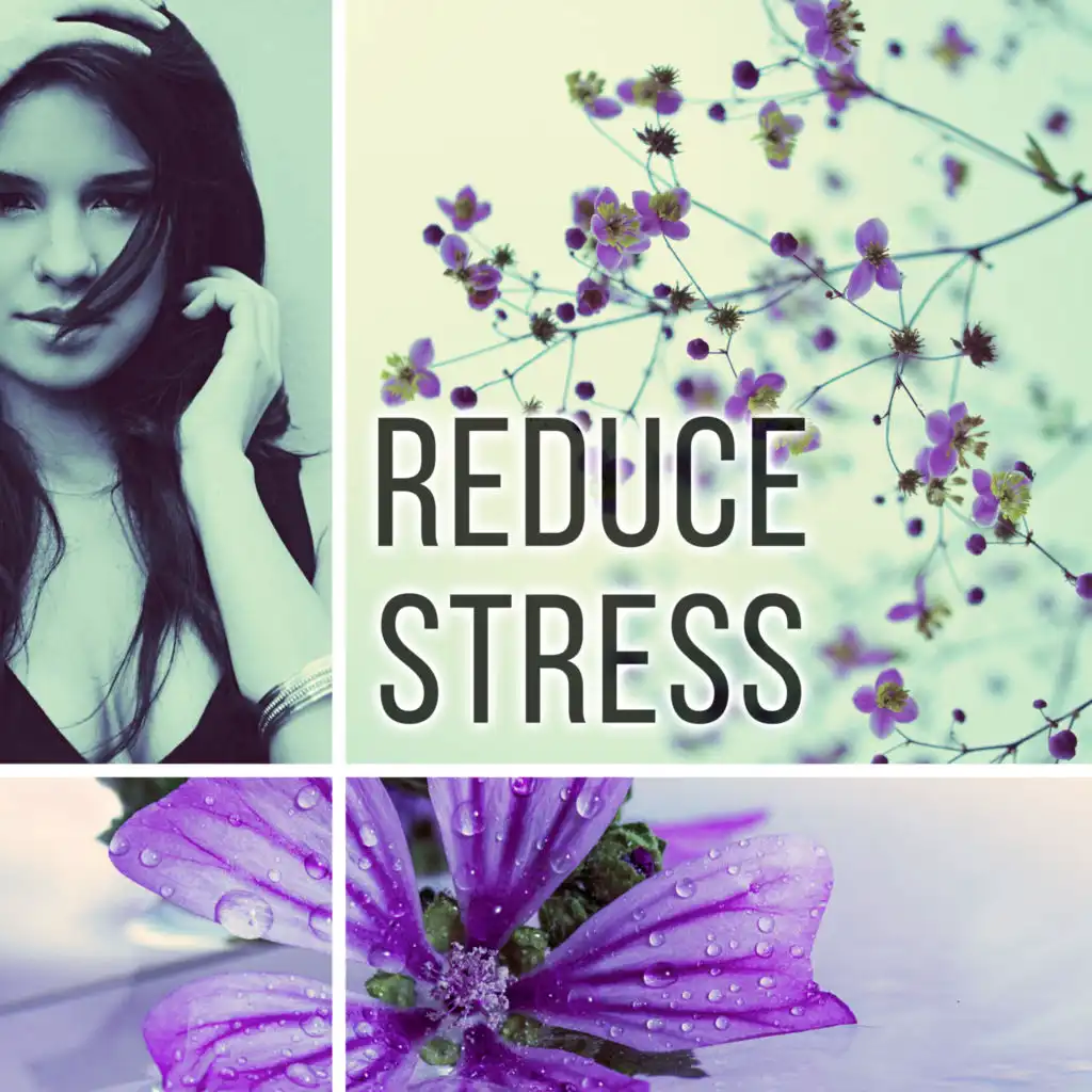 Reduce Stress - Sound Healing, Relaxation Therapy, Self Development and Health, Spa, Yoga Music, Sleep, White Noise, Meditation