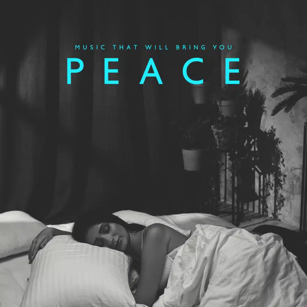 Music That Will Bring You Peace: Balanced Relaxation, Take a Deep Breath, Quiet Your Stress