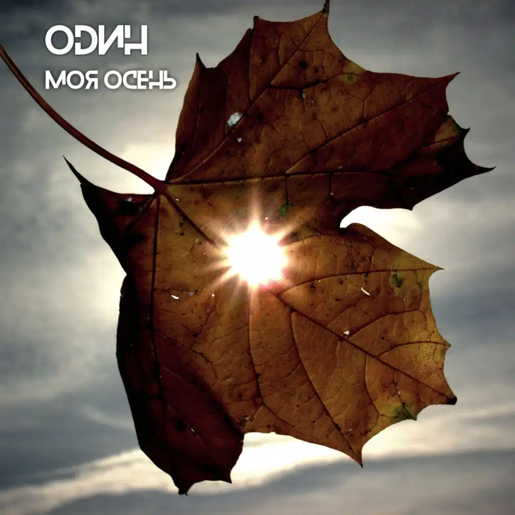 Моя осень