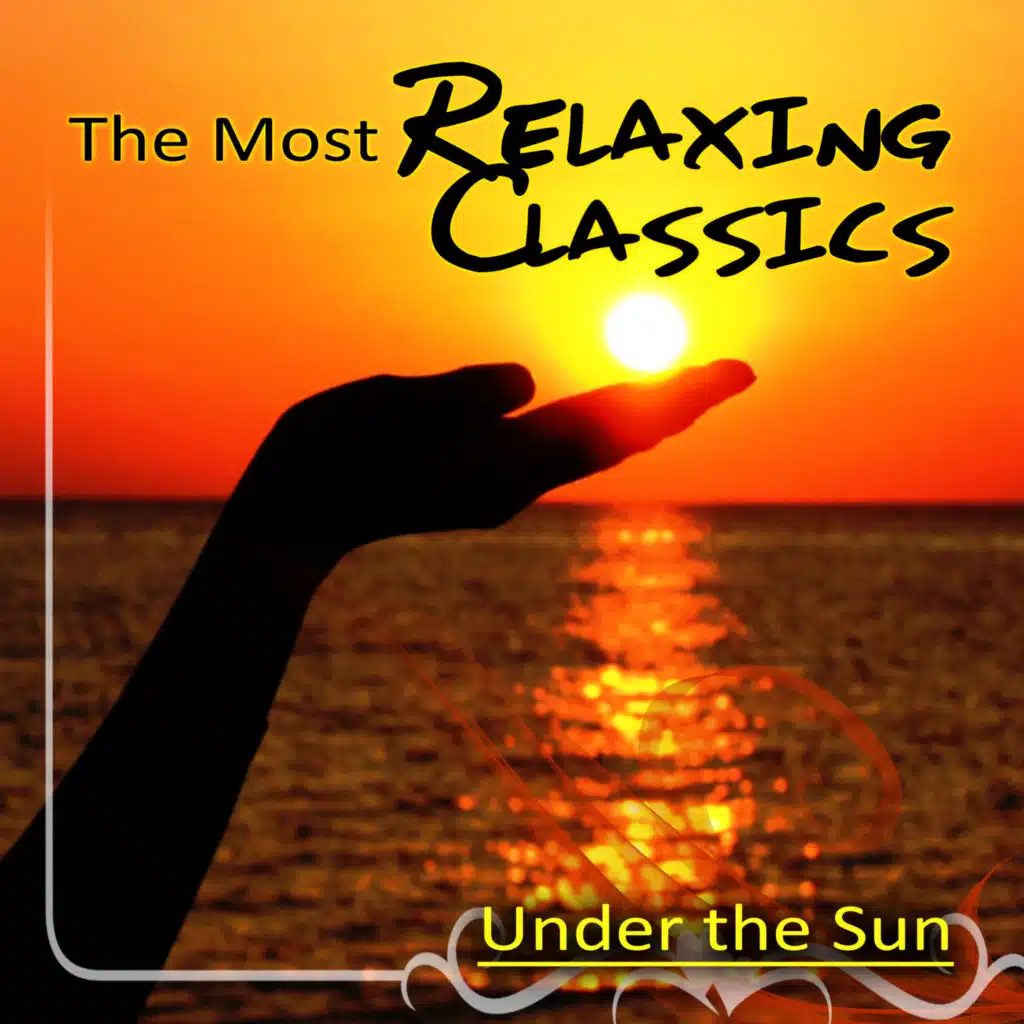 Variations on an Original Theme No. 1 in D Major, Op. 21: VIII. Allegro non troppo