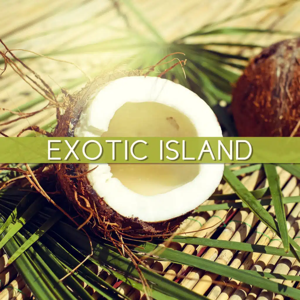 Exotic Island – Chill Out Music, Summer Vibes, Sweet Memories, Sunny Day