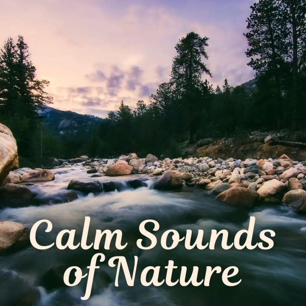 Nature Sounds