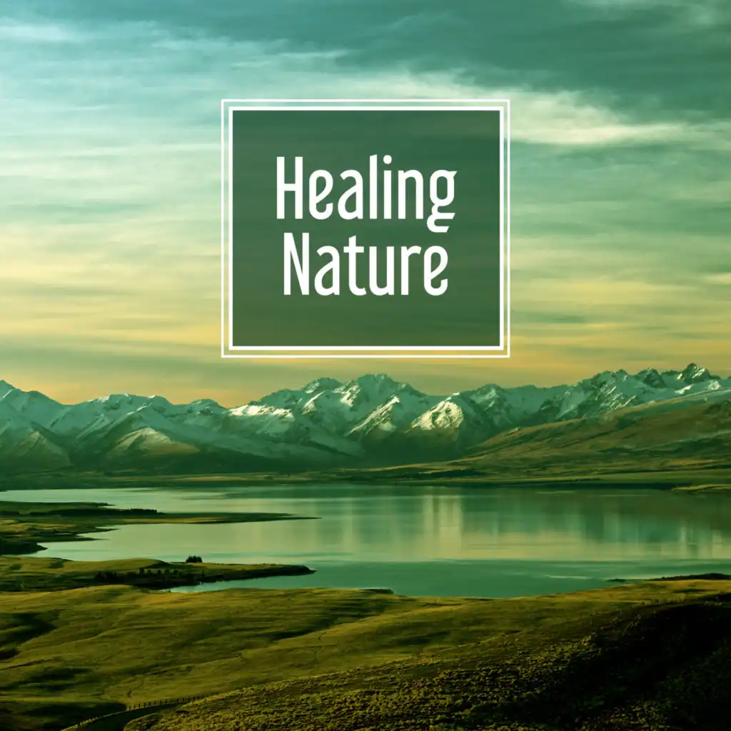 Healing Nature – Calm Nature Sounds to Relax, Rest with Beautiful Music, Soothing Waves, No More Stress