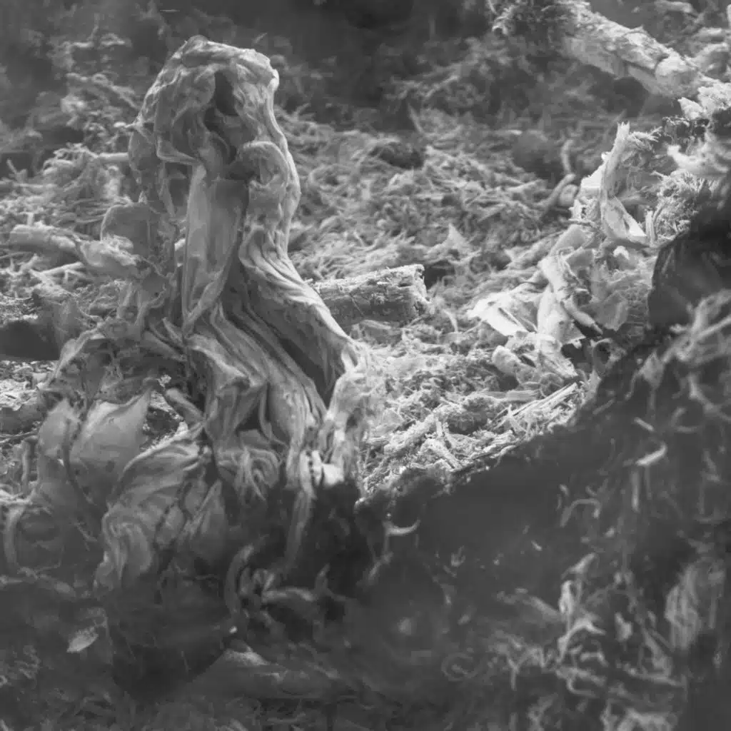 Unpredictability Of Probability (Including Dasha Rush Remix)