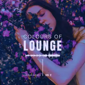 Colours of Lounge, Vol. 2