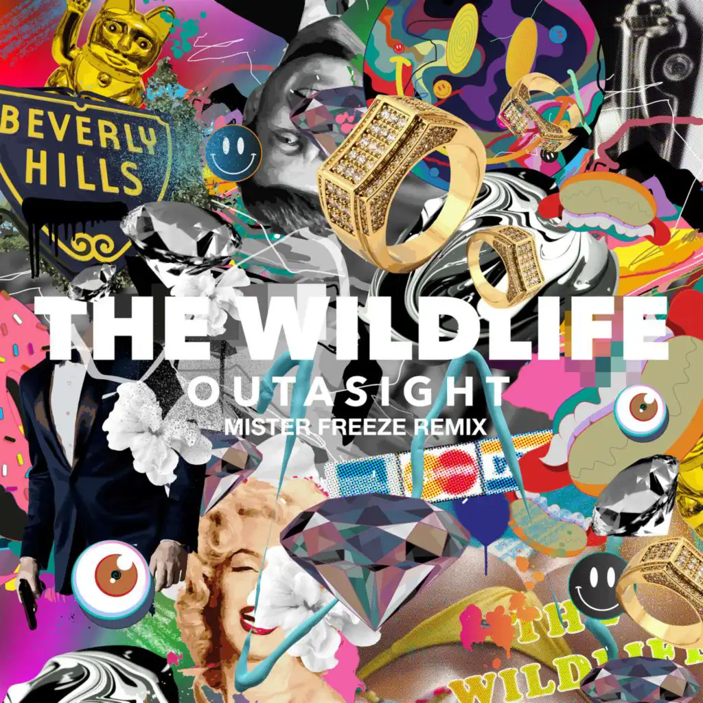 The Wild Life (Mister Freeze Remix)