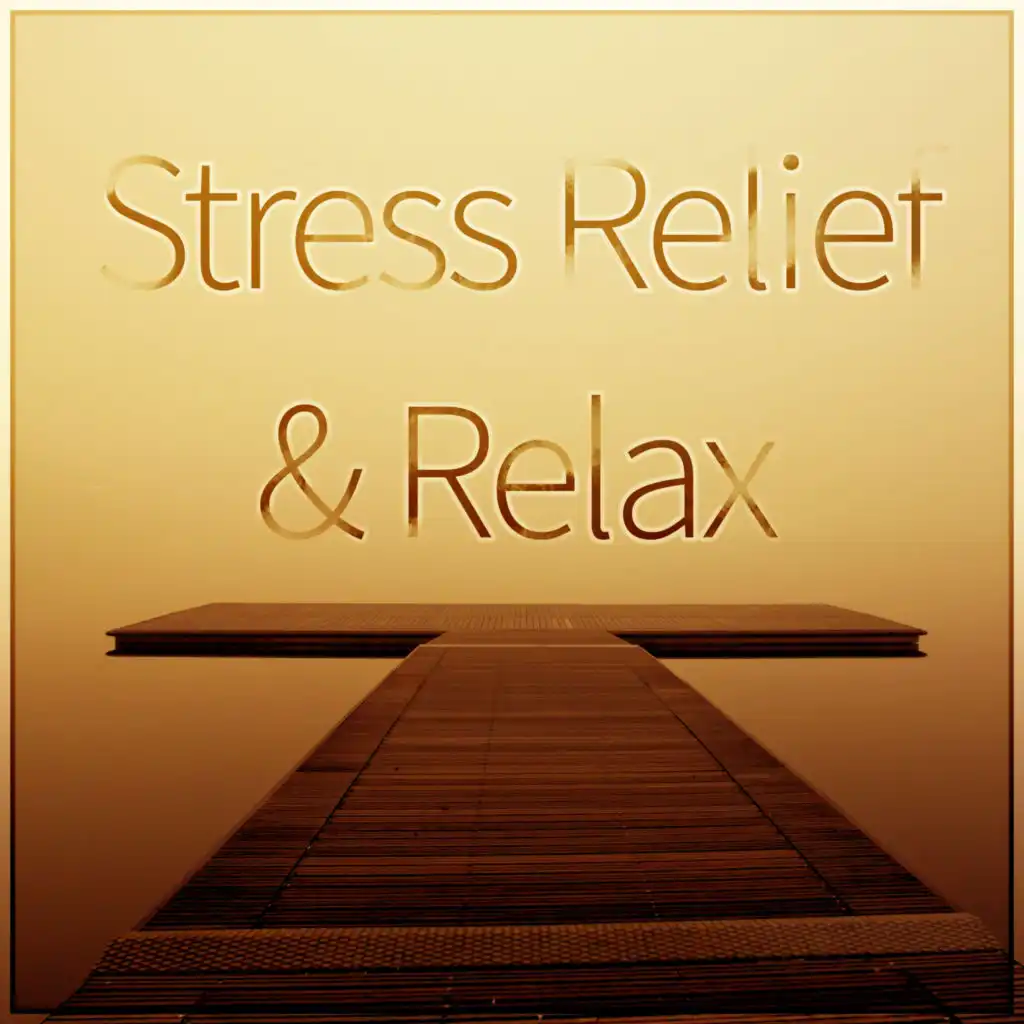 Stress Relief & Relax - Relaxing Sounds and Long Sleeping Songs to Help You Relax at Night, Healing Through Sound and Touch, New Age Music and Nature Sounds for Stress Relief