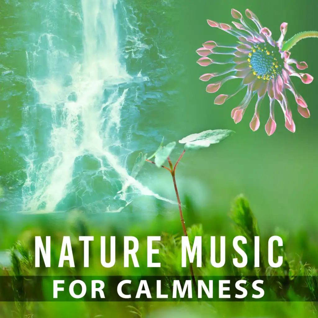 Sounds of Nature