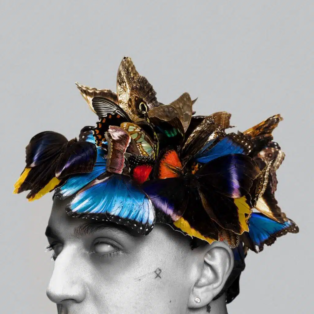 PUŁAPKA NA MOTYLE (DELUXE EDITION)