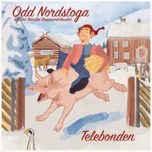 Odd Nordstoga & Det Norske Kammerorkester