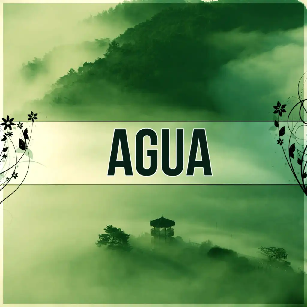 Agua (Rain Sounds)