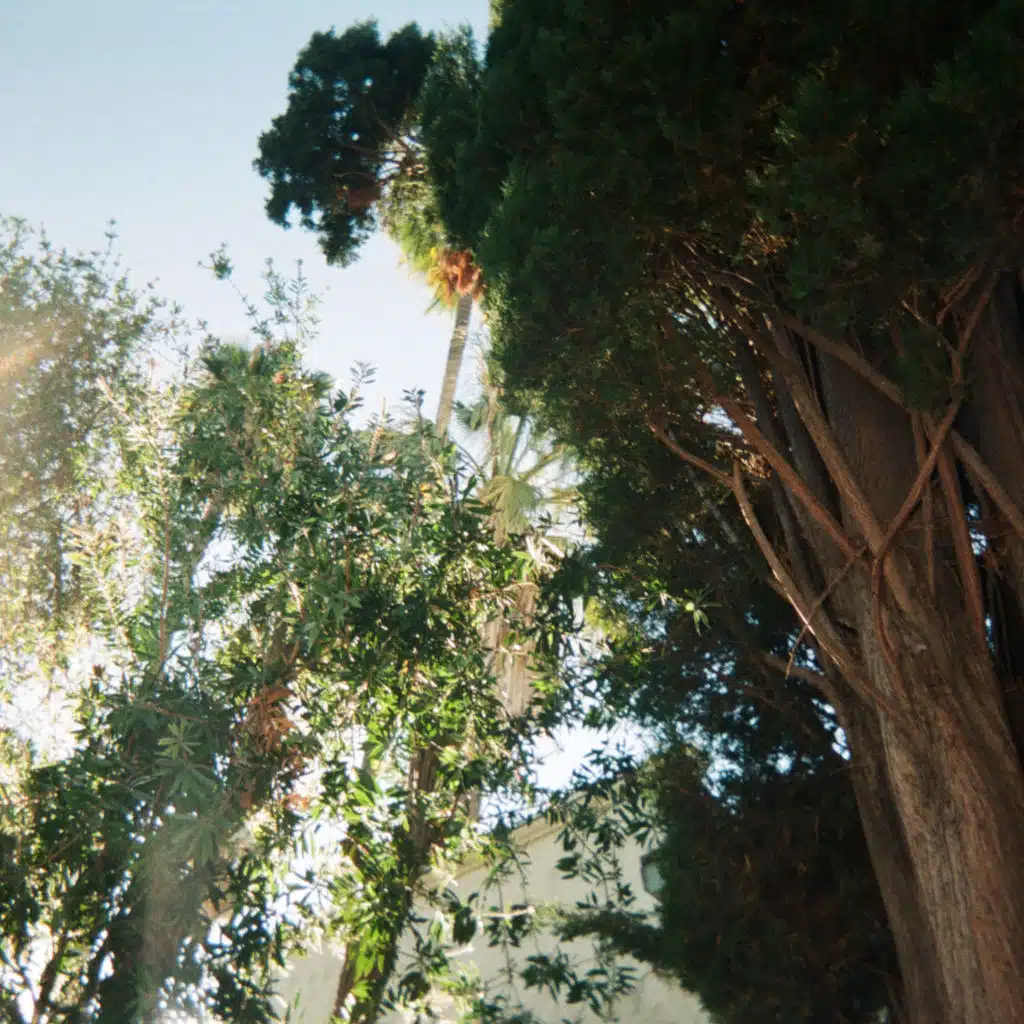 Close to See (feat. Vixxle)