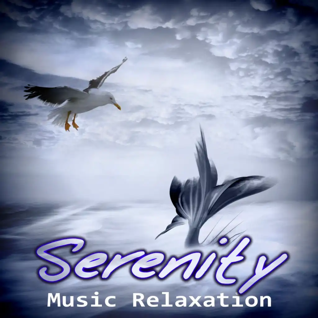 Serenity Music Relaxation – Asian Zen Spa Relaxation, Sounds of Nature for Deep Sleep, 101 Minutes of New Age Ambiance for Baby Massage, Study, Yoga, Sound Therapy for Meditation, Relaxing Natural White Noise Songs