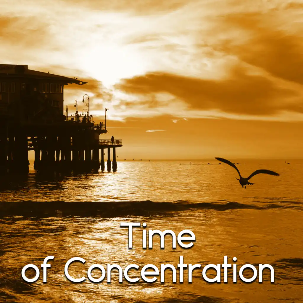 Time of Concentration – Most Relaxing Music New Age for Easy Study, Brain Power, Music Sounds of Nature for Focus, Clear the Mind, Exam Study