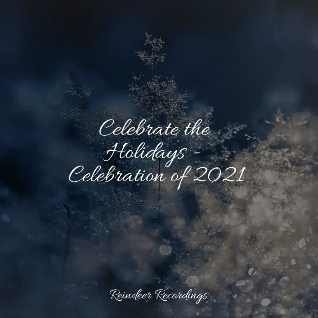 Celebrate the Holidays - Celebration of 2021