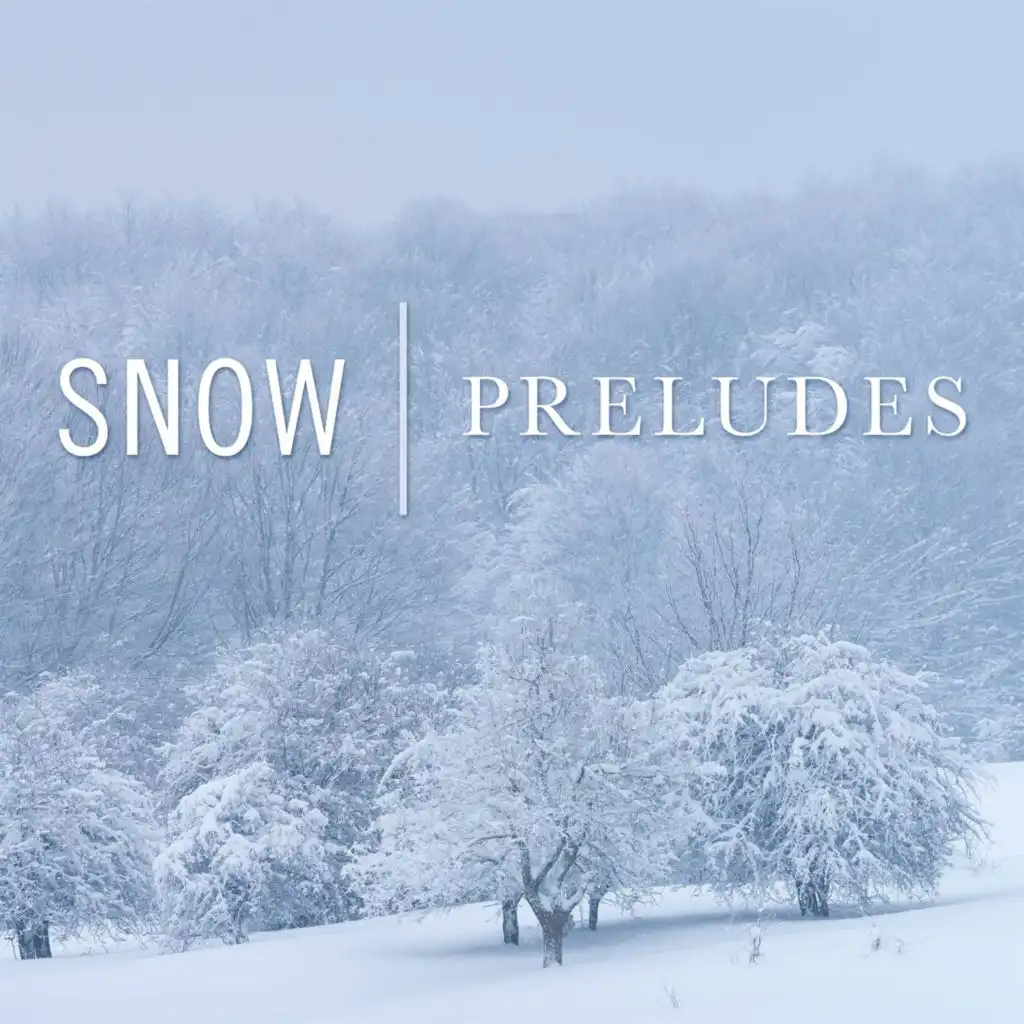 Snow Prelude No. 3