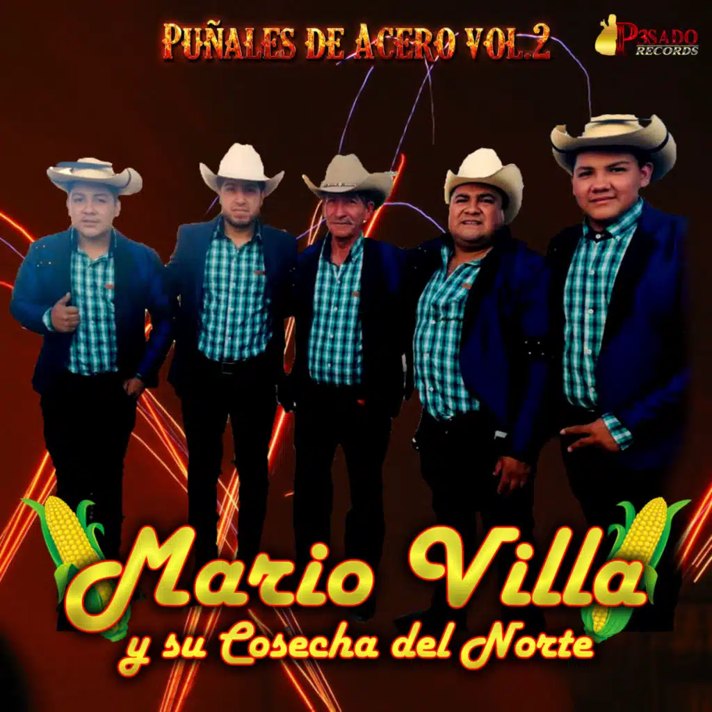 Puñales De Acero Vol. 2