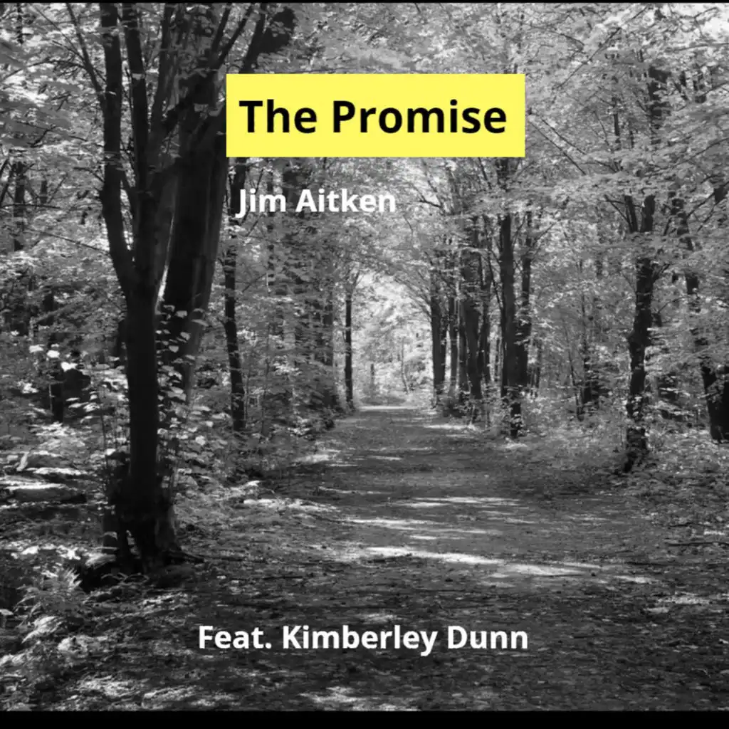 The Promise (feat. Kimberley Dunn)