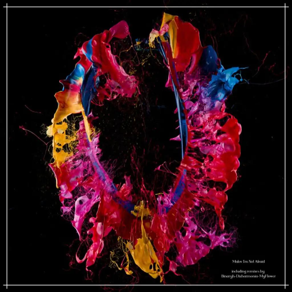 I'm Not Afraid (Dizharmonia Remix)