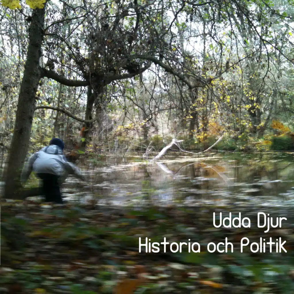 Historia och politik