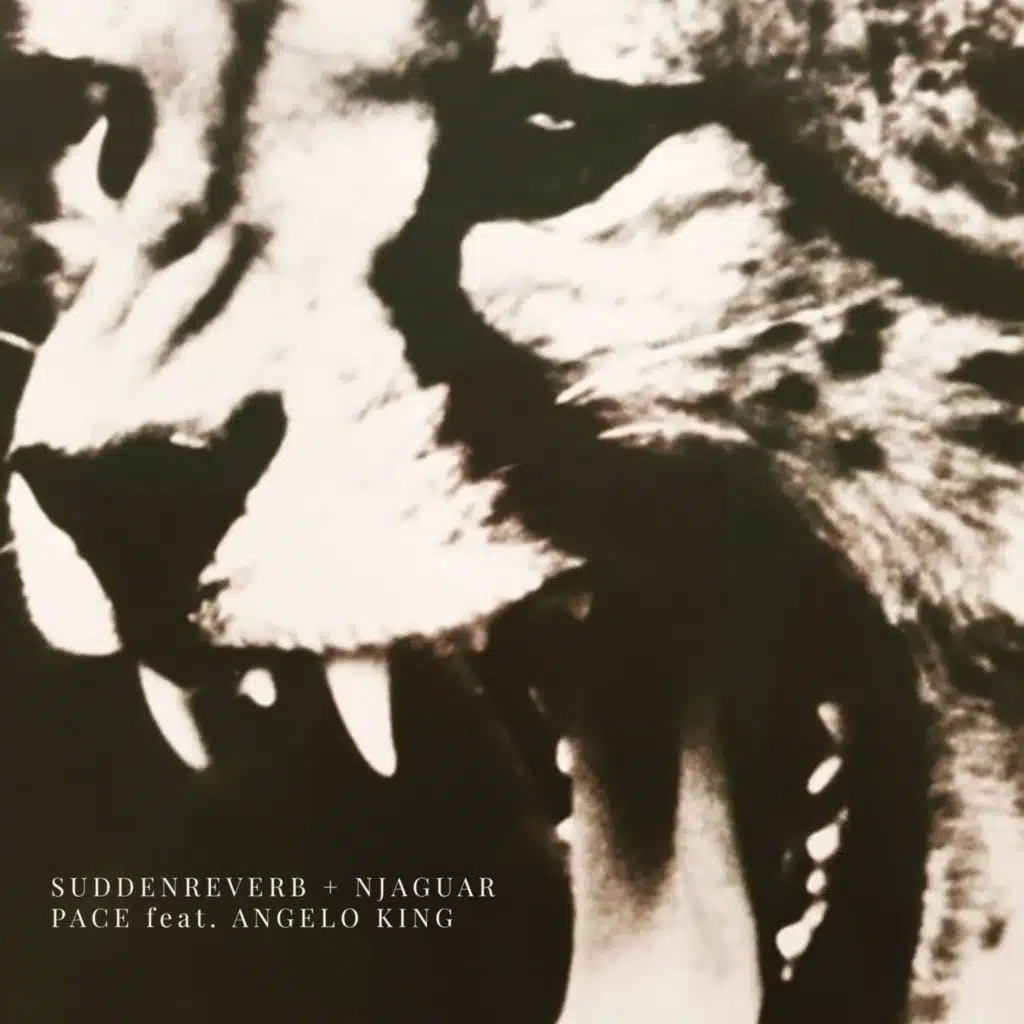 Sudden Reverb & Nahuatl Jaguar