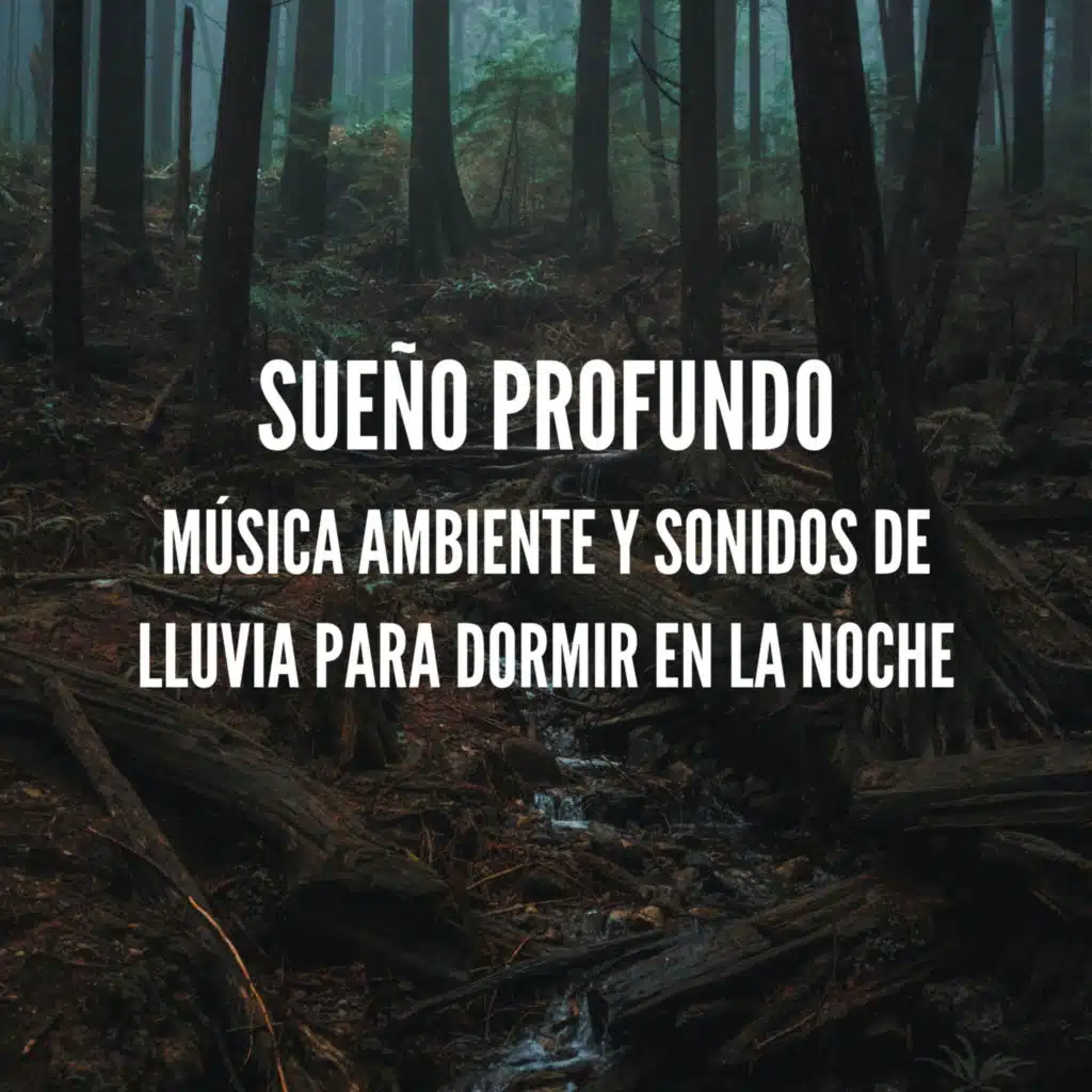 Sonidos de Arroyo para Sanar