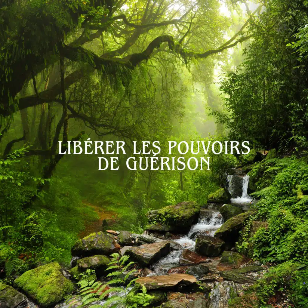 Libérer les pouvoirs de guérison (Flûte relaxante avec des sons de la nature pour une récupération plus rapide)