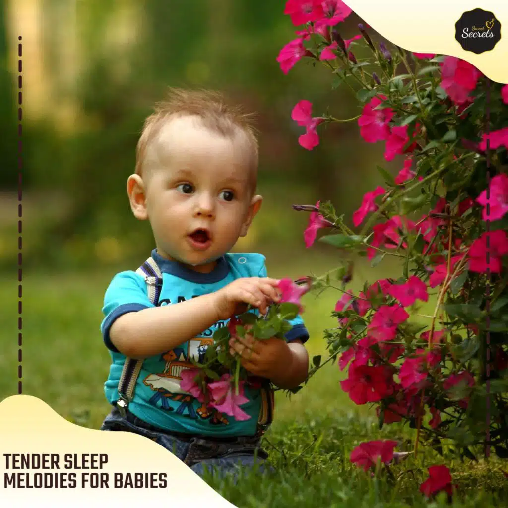 Tender Sleep Melodies For Babies
