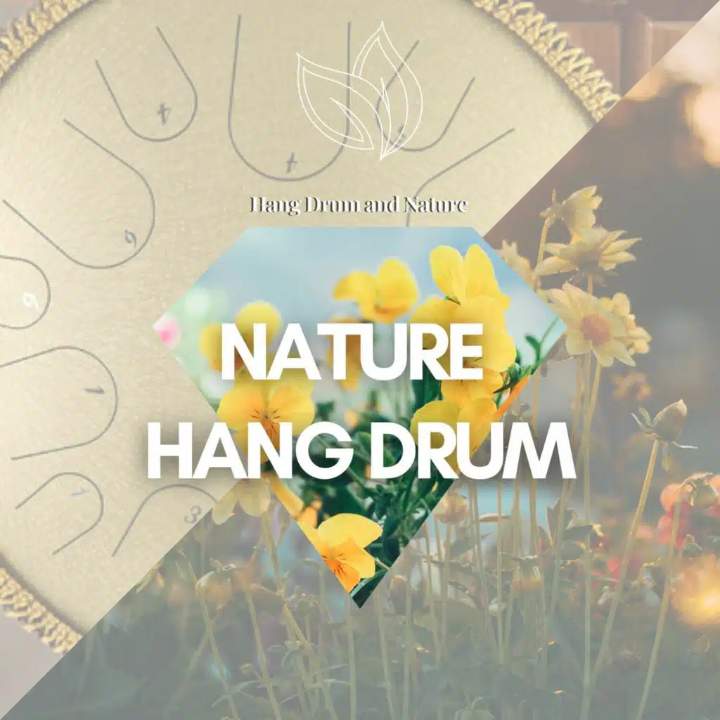Hang Drum Meditation, Hang Drum & Hang Drum and Nature
