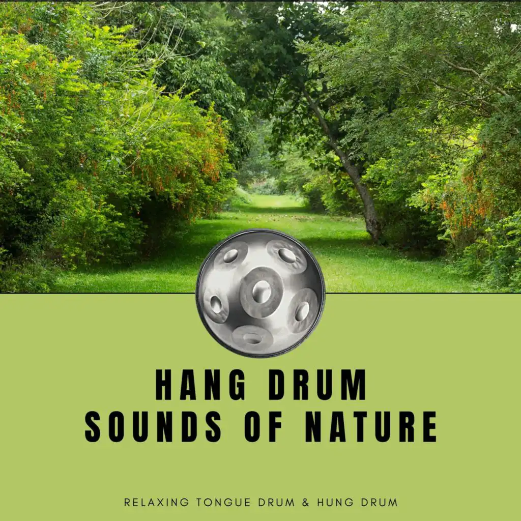 Hang Drum Sounds of Nature