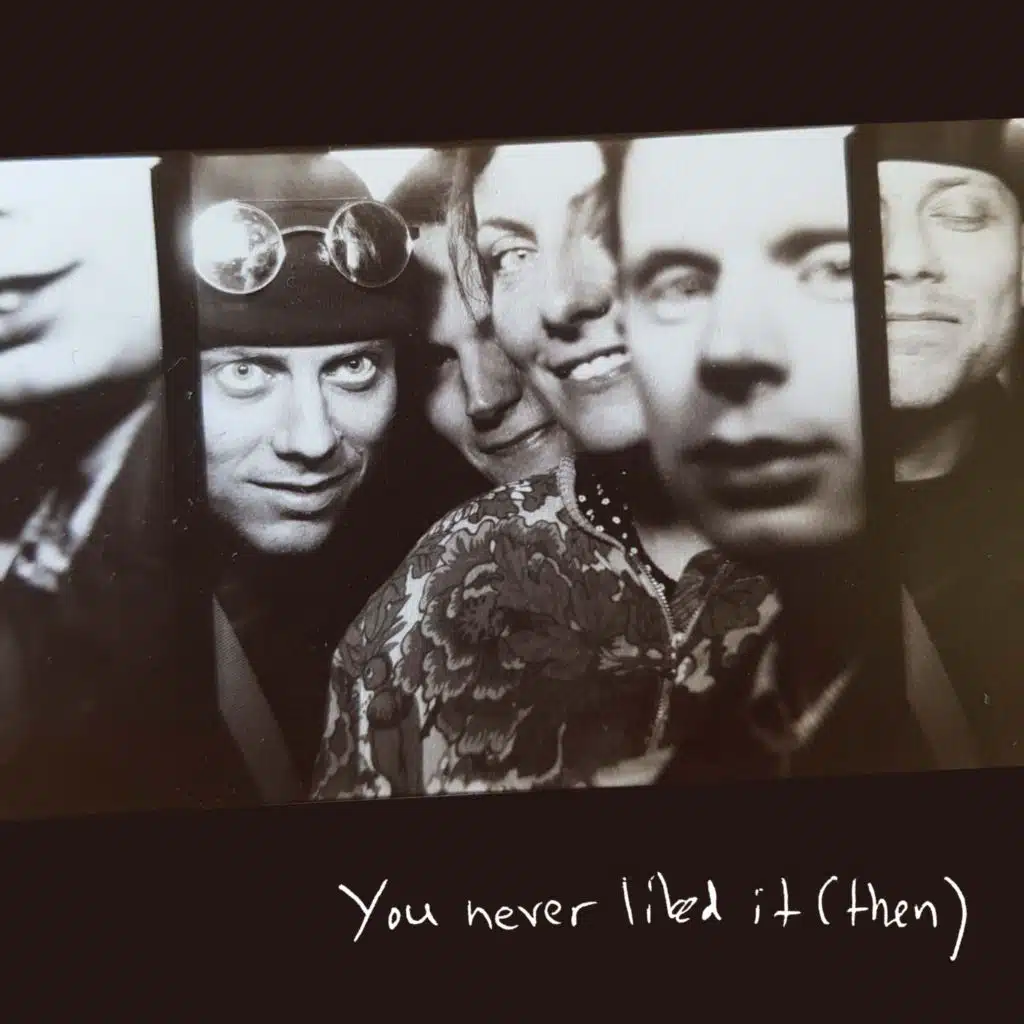 You Never Liked It (Then)