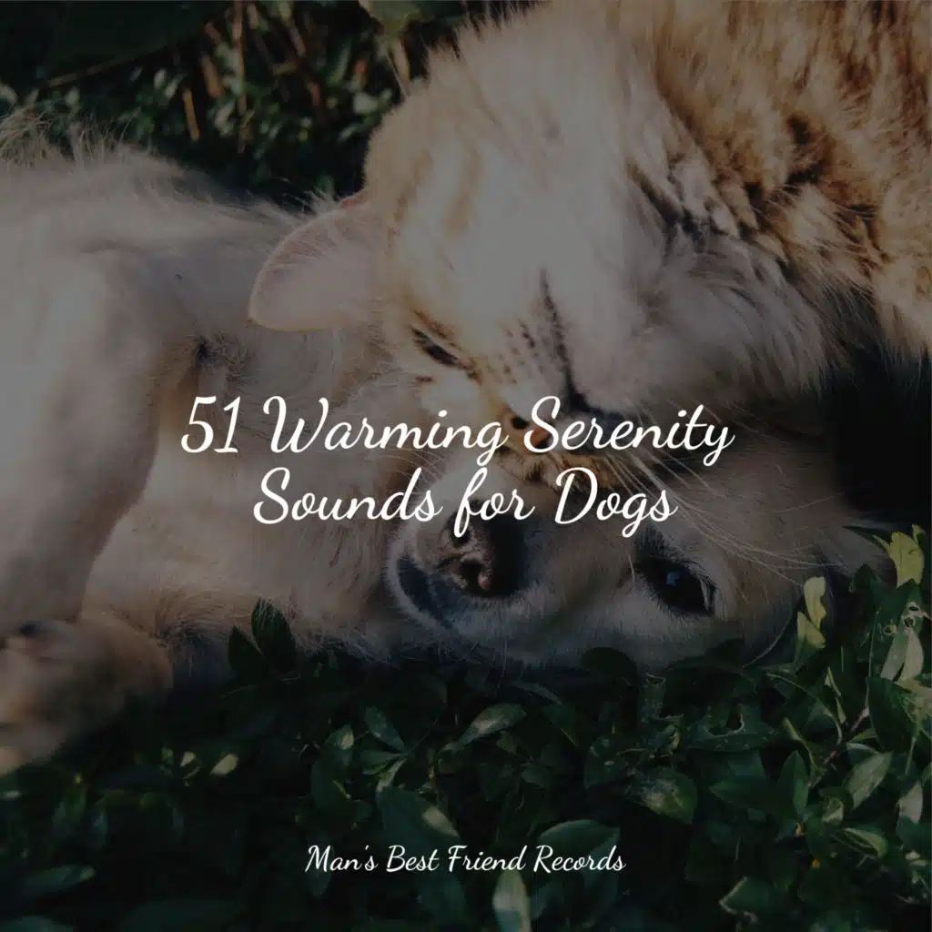 51 Warming Serenity Sounds for Dogs