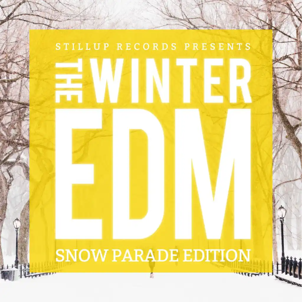 Stillup Records Presents The Winter EDM -Snow Parade Edition