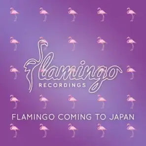 Flamingo Coming To Japan