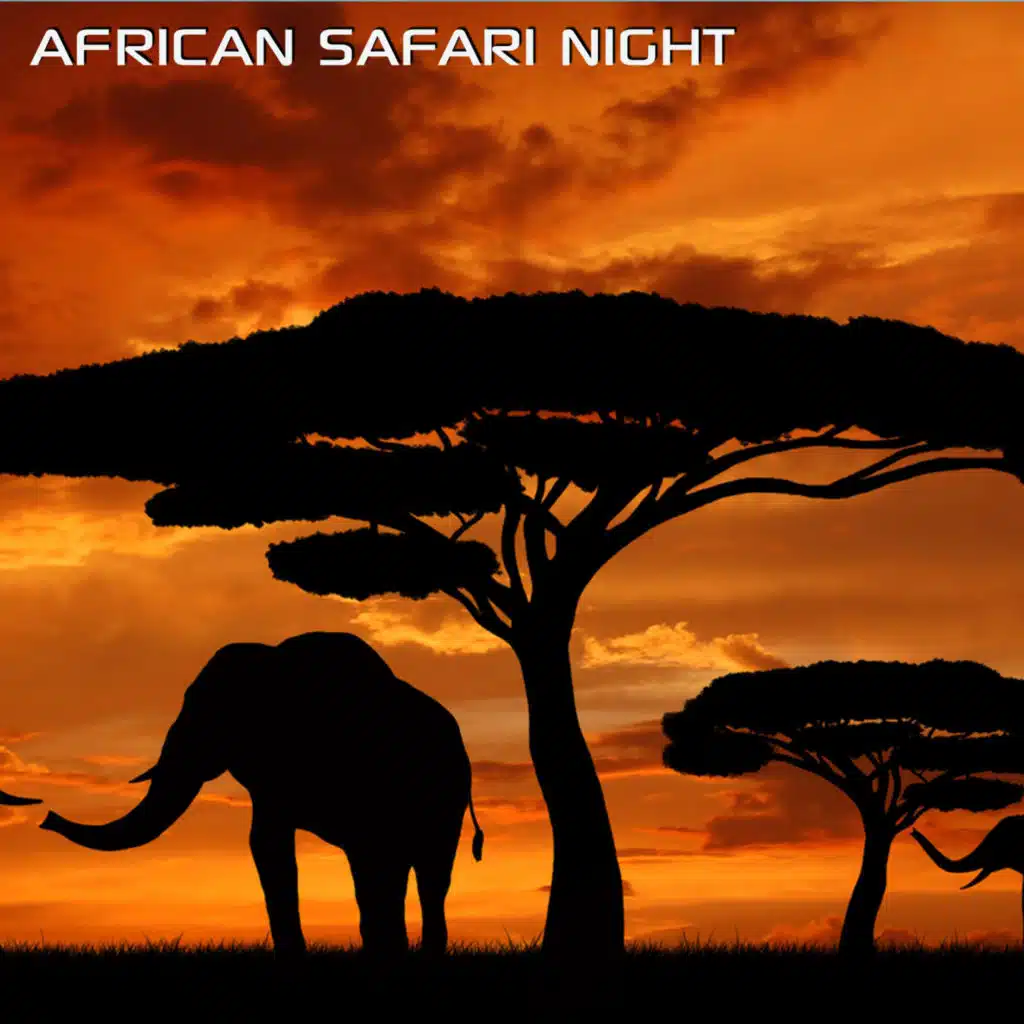 Discovery Africa Soundscapes, Discovery Nature Soundscapes & African Nature Soundscapes